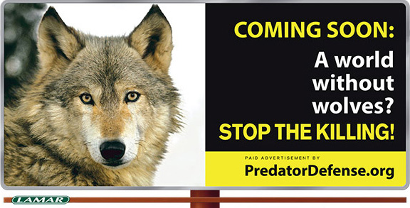 wolves_billboard_Yellowstone