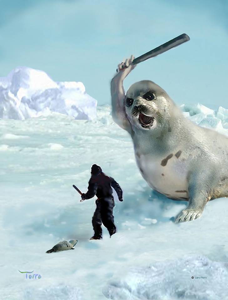 What is a harp seal's niche?